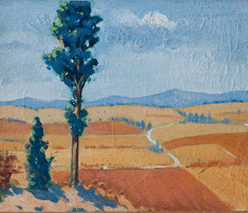 Campos de Castilla oleo/tabla 28 X 37 cm